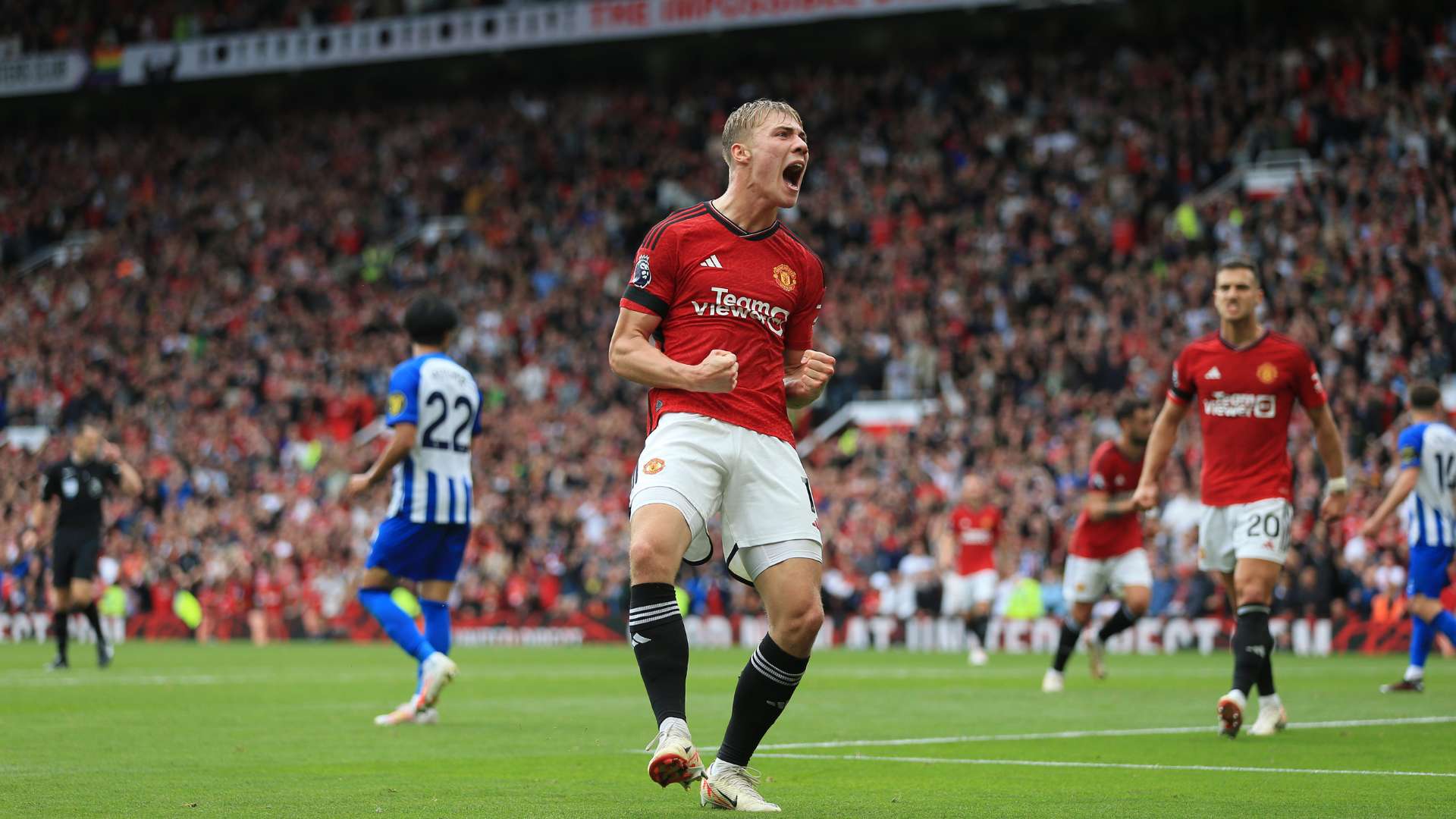 无须远征 无须远征