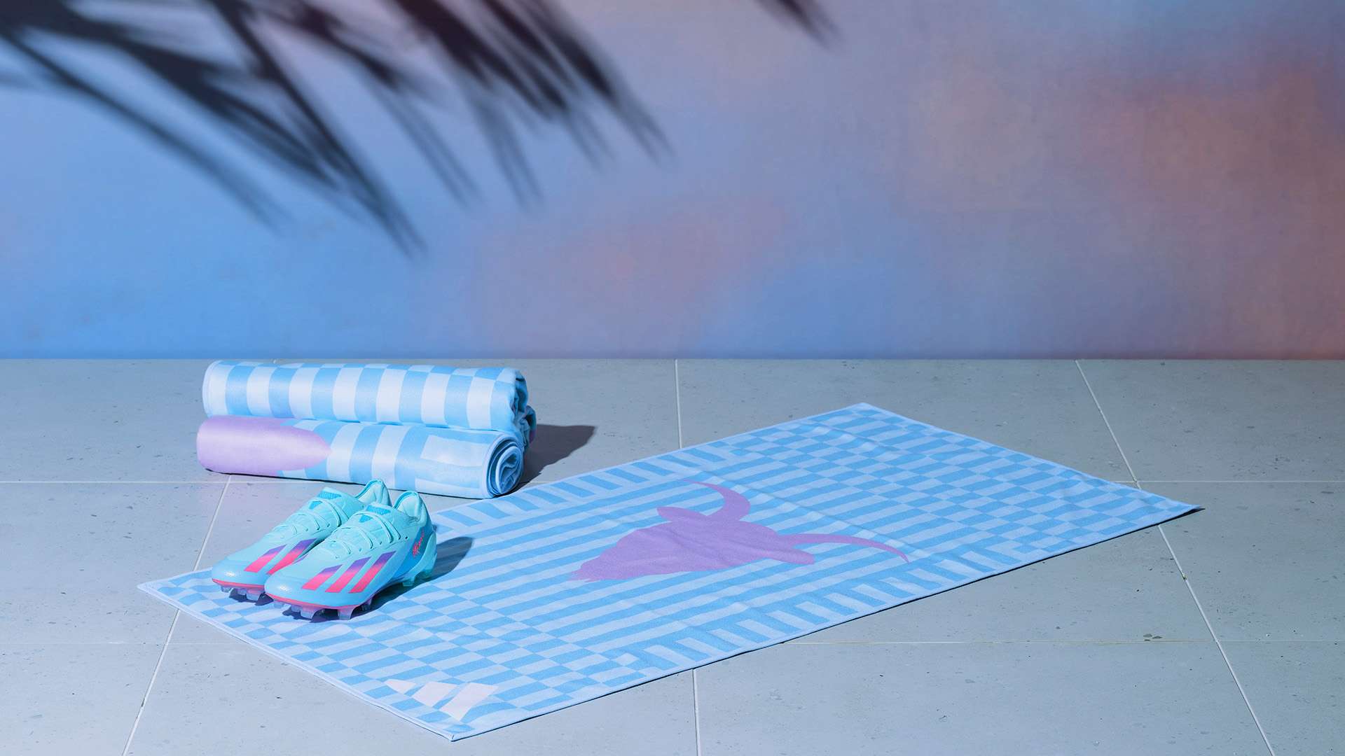 在禁区内抢 在禁区内抢